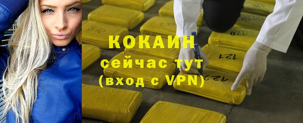 дживик Балахна